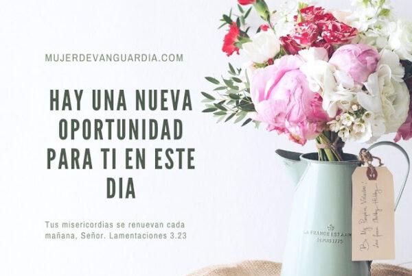 Nueva oportunidad
