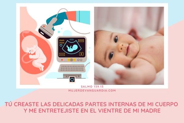 bebe-en-gestacion-y-recien-nacido