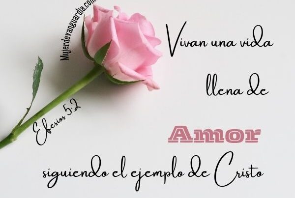 Rosa sobre fondo gris con mensaje Vivan una vida llena de amor siguiendo el ejemplo de Cristo